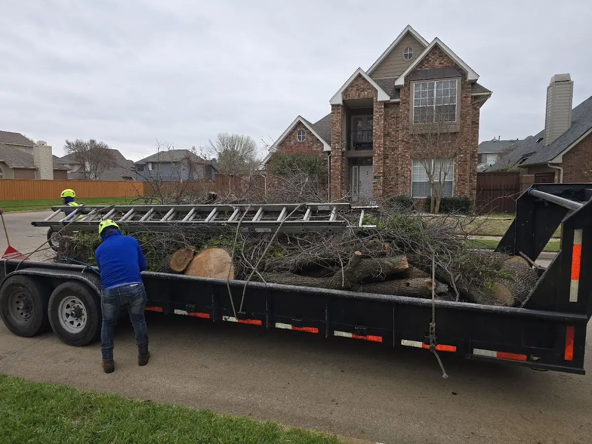 Expert Lot Clearing with proper safety equipment in Glenville